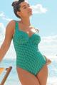 Panache Swim - Gingham Swimsuit G-M cup