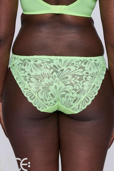 PrimaDonna Twist - Rupi Brief