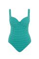 Panache Swim - Gingham Swimsuit G-M cup