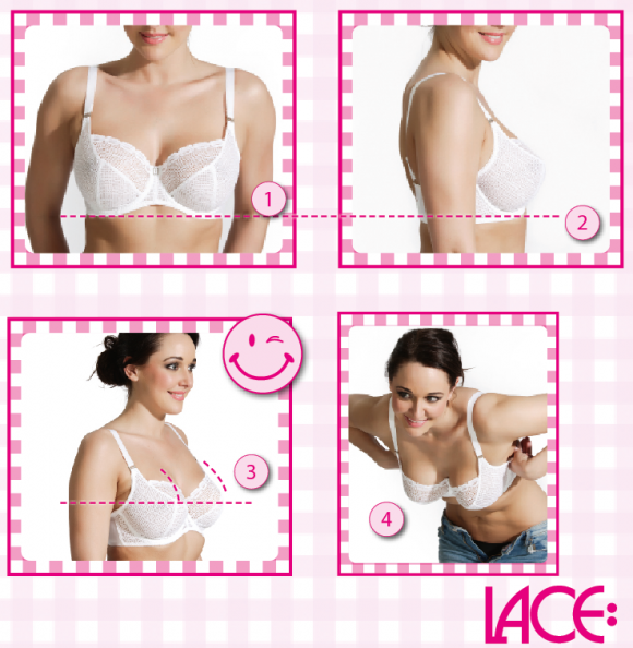 Find Your Bra Size  Bra fitting guide, Bra measurements, Correct bra sizing