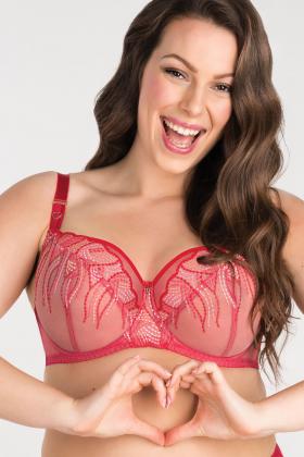 Large Cup Size Full Coverage Bra for Large Bust, Gorsenia, Size: 32J, Color: Black