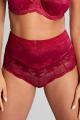 Panache Lingerie - Clara High-waisted brief