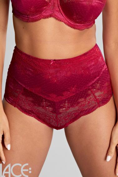 Panache Lingerie - Clara High-waisted brief