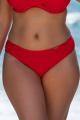 Fantasie Swim - Ottawa Bikini Classic brief