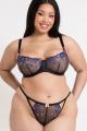 Curvy Kate - Strawberry Crush Balcony bra G-K cup