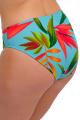 Fantasie Swim - Pichola Bikini Classic brief