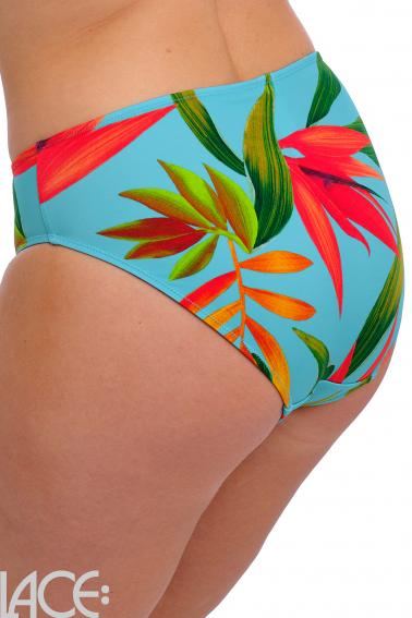 Fantasie Swim - Pichola Bikini Classic brief