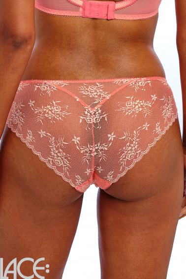 Freya Lingerie - Offbeat Decadence Brief