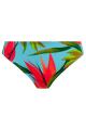 Fantasie Swim - Pichola Bikini Classic brief