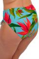 Fantasie Swim - Pichola Bikini Full brief (adjustable leg)