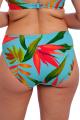 Fantasie Swim - Pichola Bikini Classic brief