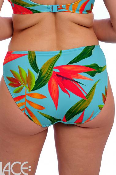 Fantasie Swim - Pichola Bikini Classic brief