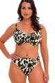 Fantasie Swim - Cabo Verde Bikini Top G-K cup