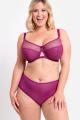 Curvy Kate - Victory Short