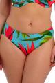 Fantasie Swim - Pichola Bikini Classic brief