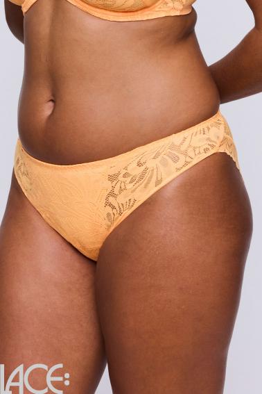 PrimaDonna Twist - Rupi Brief